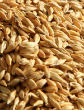 Image of Is barley the new superfood (CureJoy)?