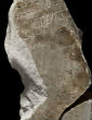 Image of The pieces of an enormous marble map were once erected against the Templum in Rome (Sovrintendenza Capitolina A Beni Culturali).