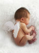 Image of Researchers discovered a spark at the moment human eggs are fertilized (Angels/Fanpop).