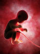Image of Unsurprisingly, at 20-weeks-old, an unborn child reacts to painful stimuli (dovemed).