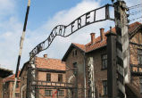 Image of Pope Francis to visit Auschwitz.
