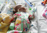 Image of (Photo by: Ciara Wilkinson/Irish Mirror)