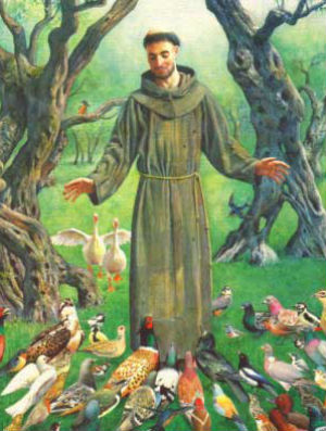 How will St. Francis of Assisi challenge you today? How will St. Francis of Assisi challenge you today?