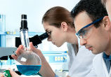Image of Harvard scientists release a timelapse video featuring the evolution of antibiotic resistance.