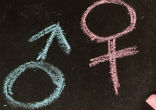 Image of Pope Francis challenges gender theory.