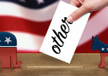 Image of What is the third party?