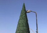 Image of Yassir Saad purchased Baghdad's tallest  Christmas tree.