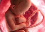 Image of The fight for life continues.