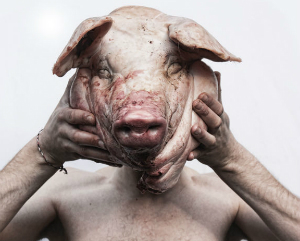 Should experiments that cross humans and animals be allowed?