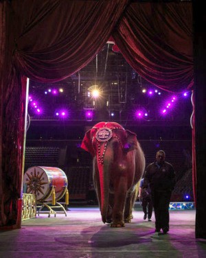The Ringling Bros. and Barnum & Baily Circus will close after 146 years (Todd Hesler).