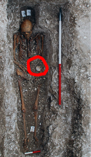 The grave of Sk27 has one notable artifact, a scallop shell which told researchers he was a religious pilgrim.