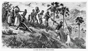 An image from 1865 shows Africans being taken into slavery. One victim is being put to death arbitrarily, or for some unknown offense.
