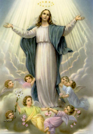 Pope Francis leads a Hail Mary on behalf of Italy's disaster victims.