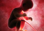 Image of Baby or combination of cells?