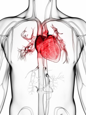 The heart transplant community will never be the same (WordPress).