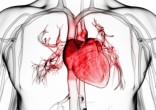 Image of The heart transplant community will never be the same (WordPress).