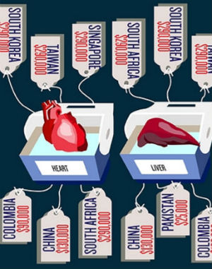 The Vatican is pushing to make organ trafficking a crime against humanity.