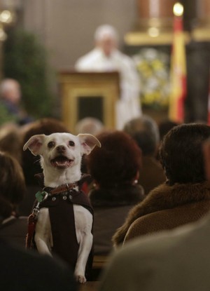 Animal activists say their pets have souls and deserve to be allowed into church.