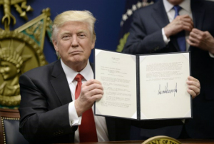 Trump holds his executive order banning immigration for refugees and from seven countries until Homeland Security can revamp vetting procedures.