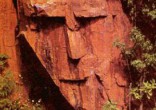 Image of Will stones literally 
