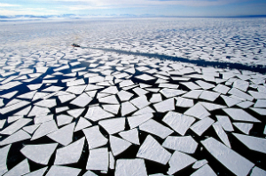 Will the cure worse than the disease? The polar caps melt, then grow back. But there's a greater danger than this lurking among us --our response to the problem.