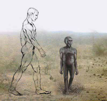 A hobbit man compared to a modern human.
