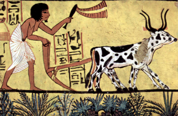 Egyptian civilization was among the first to perfect neolithic agriculture. Were these developments forced by a cosmic cataclysm?
