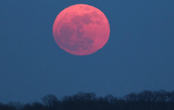 The Moon can appear different colors when it is low to the horizon.