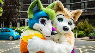 Cal State San Marcos offers courses on animal-based sex fetishes.