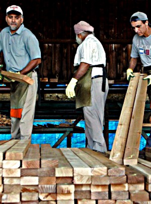Canada is now subject to tariffs on all softwood lumber imports into the United States.
