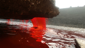 Scientists have discovered at least 17 different microbes in the water of Blood Falls.