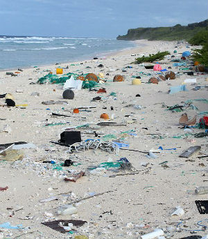 Miles from civilization, Henderson Island is still covered by plastic pollution.