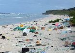 Image of Miles from civilization, Henderson Island is still covered by plastic pollution.