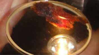 The Eucharistic miracle from Buenos Aries was sent to the USA for testing.