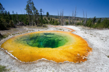The magma plume that feeds the supervolcano under Yellowstone is also responsible for the park's incredible beauty.