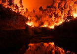 Image of At least 62 people have been killed in huge forest fires in the central part of Portugal Saturday and Sunday.