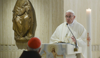 Pope Francis delivers a homily.