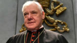 Image of Cardinal Gerhard Muller.