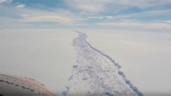 The crack in the Larsen C Ice Shelf stretched for nearly 100 miles. Today, it has reached the ocean, calving one of the largest glaciers ever recorded.