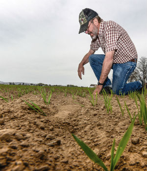 How often do we really consider the hard work and long hours that farmers, ranchers and farmworkers exert to put food on our table?