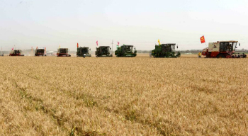 China is buying up the world's food suppliers, and will soon control a substantial portion of the world's food supply.
