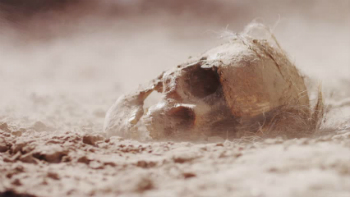 Much of the world could become uninhabitable according to some worst-case scenarios.