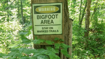 Has Bigfoot been sighted in North Carolina?