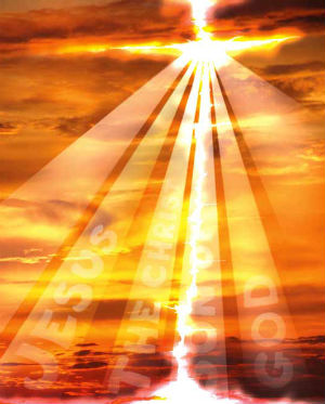 'They do not believe in the darkness, but in the light of day; they do not succumb to the night, but hope in the dawn.'