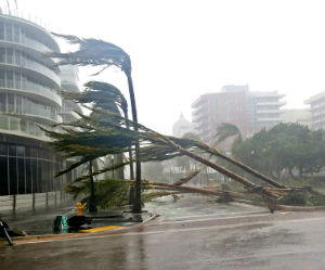 Hurricane Irma has hit Florida.