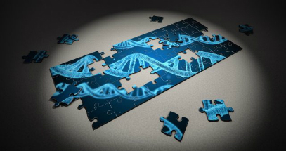 Sex is determined by DNA, and cannot be biologically changed with therapy.