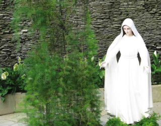 Schoolgirls claim to have had visions of the Virgin Mary and Jesus.