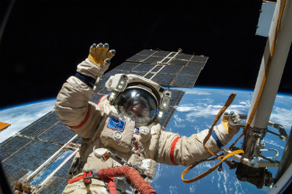 The extraterrestrial hitchhikers were discovered by Russian cosmonauts on a spacewalk aboard the International Space Station.