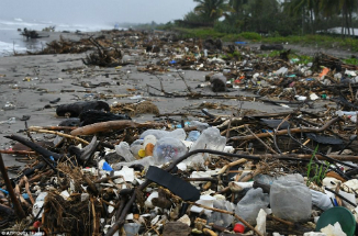 The beaches of Roatan, Honduras are covered with trash following the rainy season.