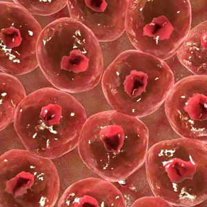 Tests involving mice aim to prove the possibility.